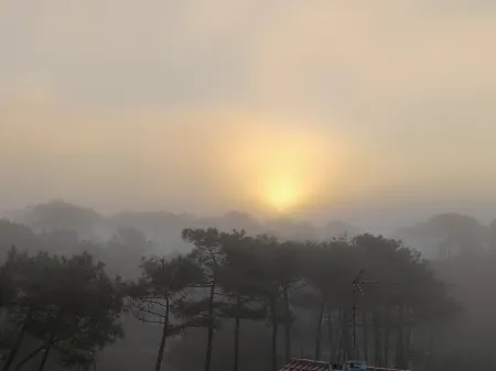 Oceanfront studio above the pines Отели в г. Сеньосс