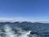 Charming and cozy apartment nestled in the woods.