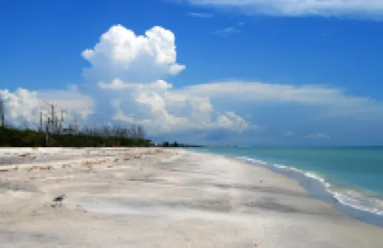 Walk to Gulf Beach Access! Coastal Studio – Starfish Stays 2C Dog Friendly.