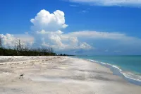 Walk to Gulf Beach Access! Coastal Studio – Starfish Stays 2C Dog Friendly.