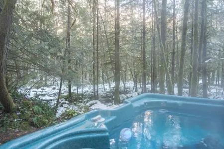 Laughing Bear Log Cabin, historical, sleeps 8, full kitchen, 2 dining areas!!