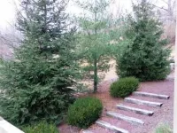 Fantastic view, 4 bedrooms- 3 baths, across from Camelback Resort, Parks - 무료 와이파이