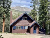 5 mins to Breck Village & Ski, Private Hot Tub, Mountain View