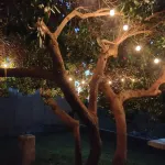 Casa Rubén Darío, located in the Sierra de Gredos (suitable for pets)