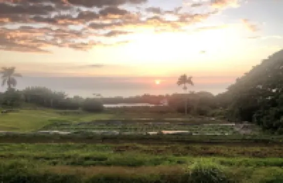 Private Paradise Organic Farm Stay with Ocean View, Nestled in Banana Grove