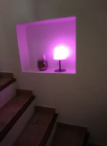 Chez_vanilles_des_isles