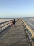 Beach to Bay, the perfect stay! - Alojamientos