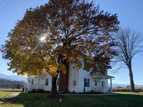 1875 FARMHOUSE completely renovated with a spectacular Blue Ridge Mountain view!