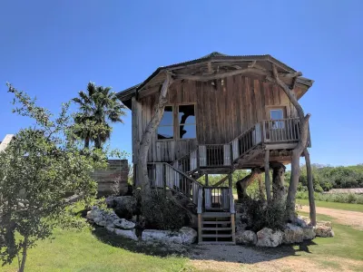 Las Palmas Tree Haus - Cloud Lane