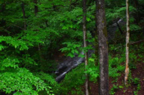 Beautiful River/Waterfall Cabin 13 miles to Helen  6 miles to Hiawassee