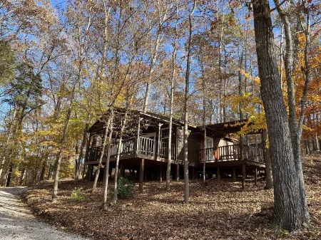 Stunning Tranquil River Lodge and 2 Cozy Cabins