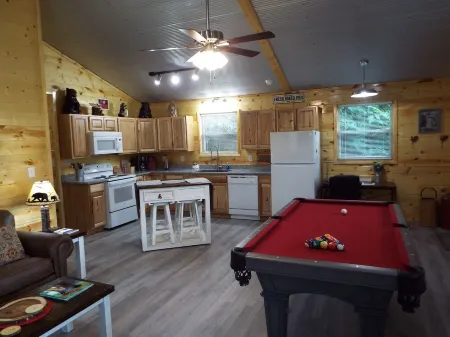 Brand New "Mountain Life" No Contact check in