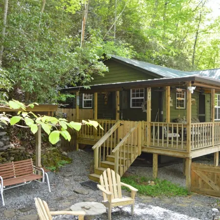 Quaint Cabin with a Creek in Front That Will Lull You to Sleep and Pets Allowed