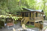 Quaint cabin with a creek in front that will lull you to sleep