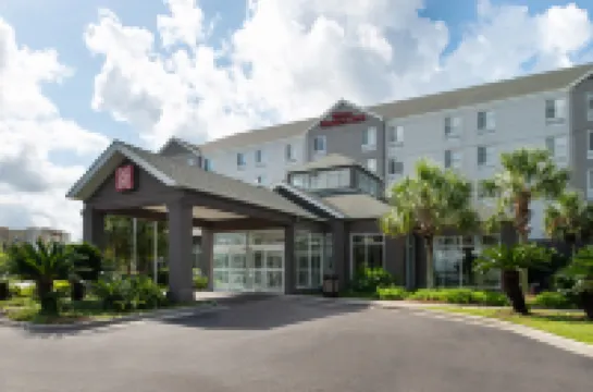 巴吞魯日機場希爾頓花園飯店 住宿飯店