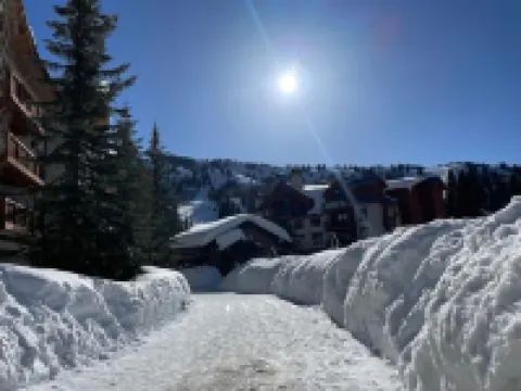Cozy Ski in/out Solitude Resort