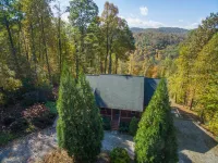 Swiss Pine Lodge, Hot Tub+Fire-Pit, Grill, Mtn View, Game Room, Scenic Vistas!