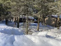 Hooties Birch Port on the Beautiful Eau Claire chain of lakes Các khách sạn ở Barnes