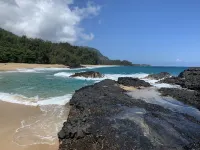Aloha! The North Shore of Kauai awaits in this amazing, centrally located Condo! Hotel in zona Hawaiian Organic Noni