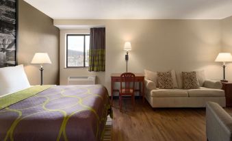 Super 8 by Wyndham Ithaca