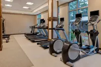 Homewood Suites by Hilton Summerville - Gym