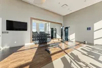 Embassy Suites by Hilton Irving Las Colinas - Gym