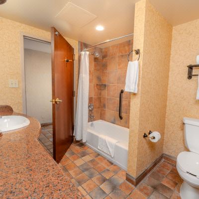 Room, 1 King Bed with Sofa Bed, Lake View, Lakeside Chateau on The Lake Resort Spa and Convention Center Promo Code