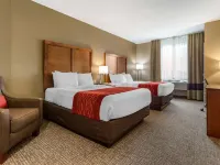 Comfort Inn & Suites Near Mt Rushmore Hotels in Pennington County