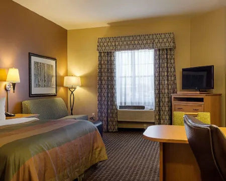 威利斯頓美茵斯坦套房酒店 威利斯頓酒店