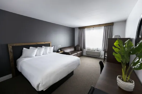 Hôtel Napoléon Hôtels à : 