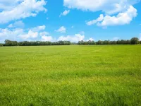 Cozy Villa w Sauna and BBQ Hotels in Hattemerbroek