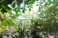 Elegant Studio Mustika Golf Residence Apartment