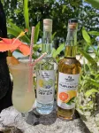 Turtle Bay Lodge - bar