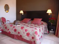 Hotel Diana Hotels in Vence