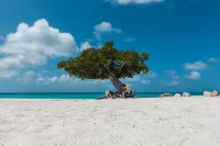 Caya Mesa Bista 47 Tierra del Sol - Pet friendly