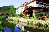 Pensiunea Mai Hotels in 
