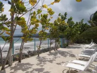 Ocho Rios Villa at the Palms II - Villas