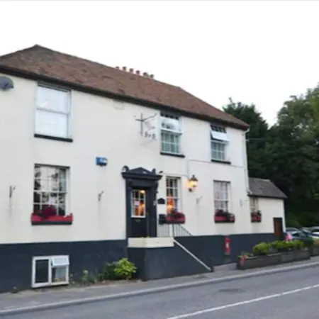 The Old Alma