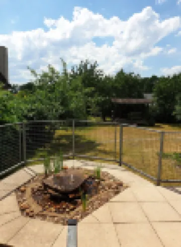 Vacation apartment for up to 8 people, 140 sqm, 2 WCs, directly on the L.Heide nature reserve