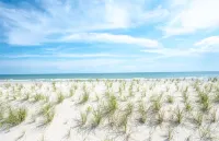 Panoramic Ocean Views and Cozy Vibes - Charming Vintage Cottage