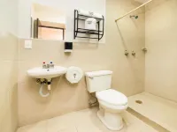 Hotel Río Puebla Centro - acceptant les animaux