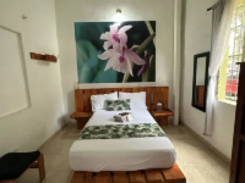 Hospedajes El Jardin Hoteles en Envigado