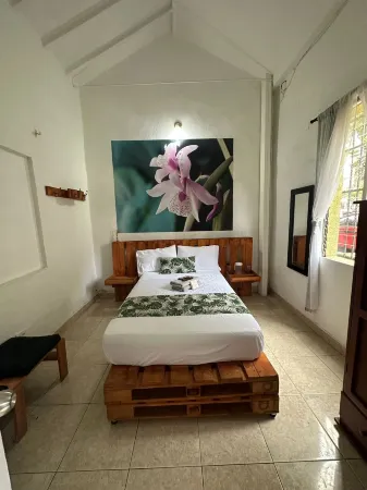 Hospedajes El Jardin