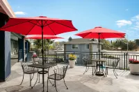 Torch Lite Inn at the Beach Boardwalk