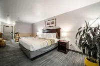 Country Inn & Suites by Radisson, Ontario at Ontario Mills, CA