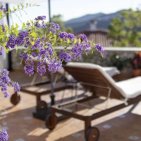 Malaga Hills Boutique Wellness and Hikers Eco-Hotel Adults Only