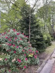 هايلاند جيست هاوس فنادق في Conneaut Lakeshore