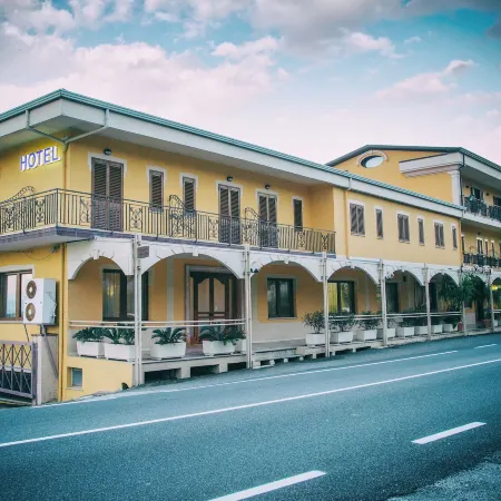 Palmed Hotel