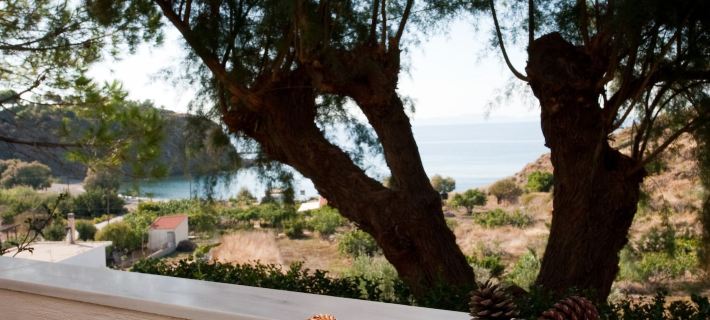 Zorbas Apartments Hotéis em Chios