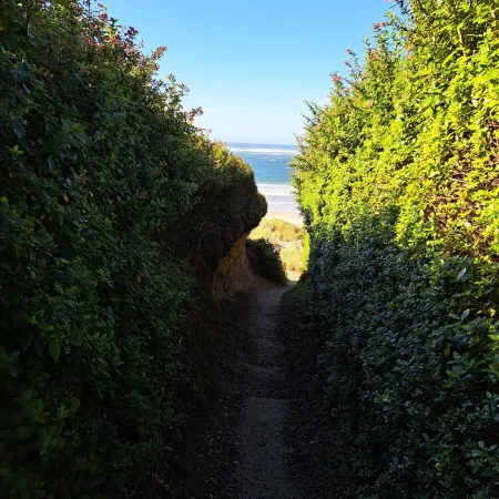 Access to the Best Beach on the Central Oregon Coast